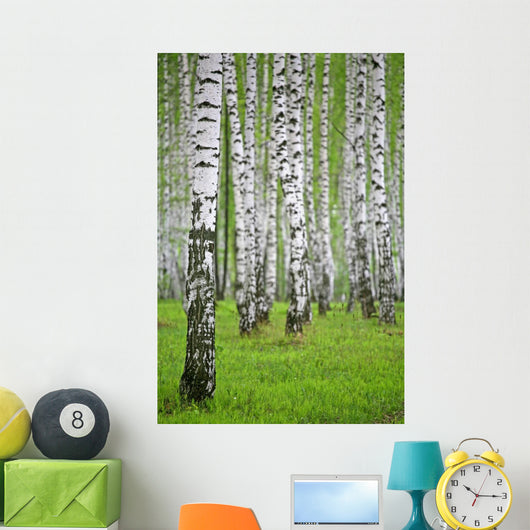 birch wood Wall Mural