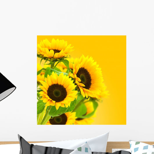 image d'une fleur tournesol, des tournesols sur fond jaune Wall Mural