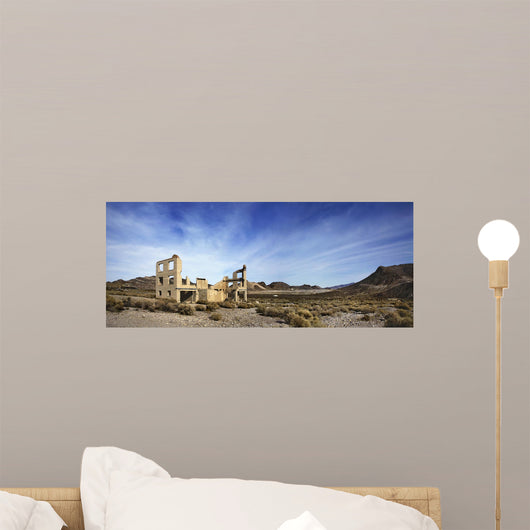 Rhyolite Nevada Wall Mural
