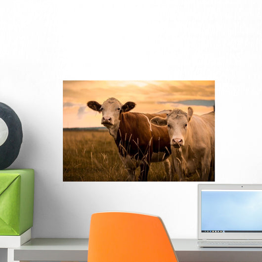 Cows Sunset Wall Decal