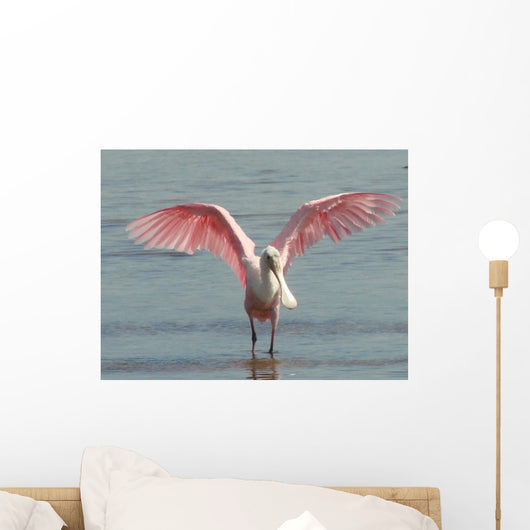 Roseate Spoonbill Close in Wall Mural