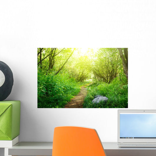 ground road in summer green forest Wall Mural