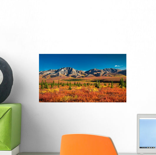 Denali National Park Autumn Wall Mural