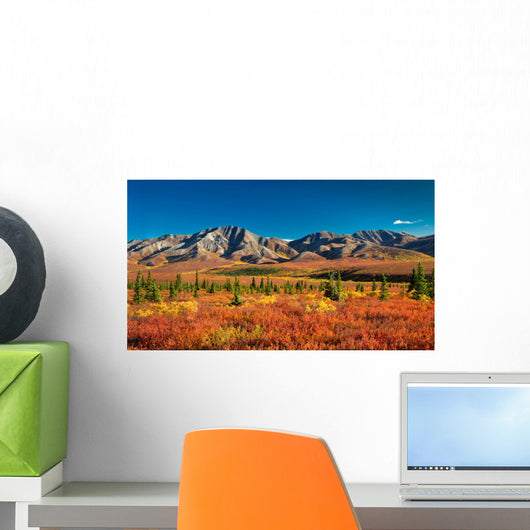 Denali National Park Autumn Wall Mural