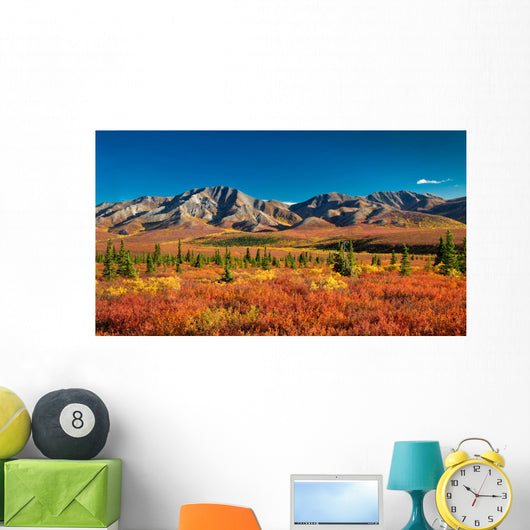 Denali National Park Autumn Wall Mural