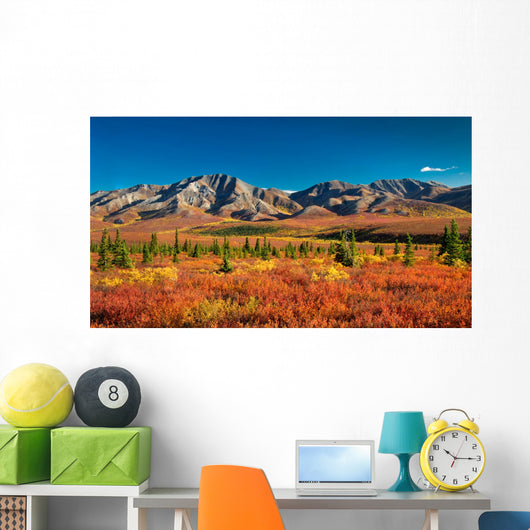Denali National Park Autumn Wall Mural