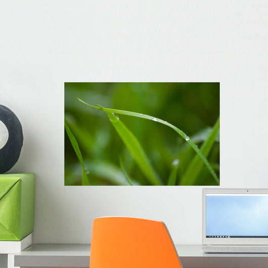 Grass Wall Mural