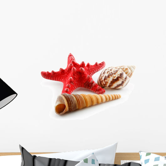 Colored Seashells (Starfish and Scallop) Isolated on White Wall Decal