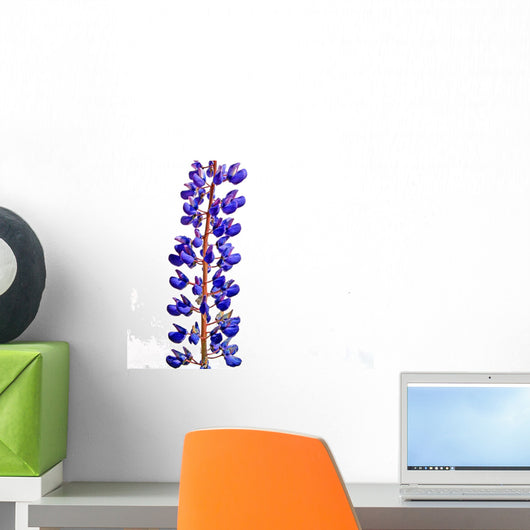 Lupine Wall Mural