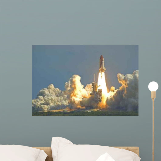 Space Shuttle Wall Mural