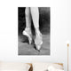 Point Ballet Wall Mural