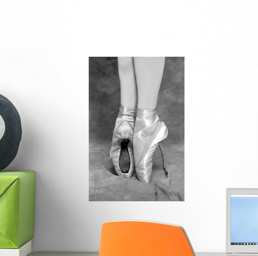 Tips Ballet Wall Mural