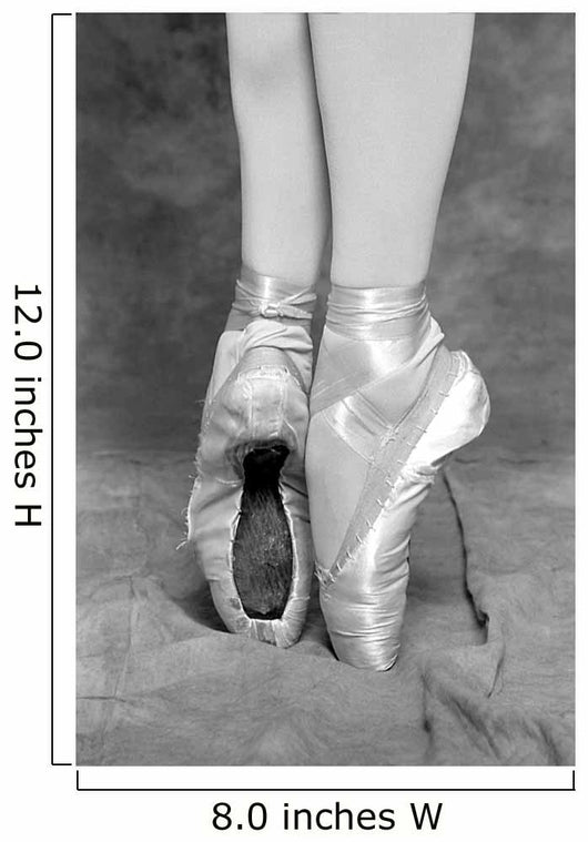 Tips Ballet Wall Mural