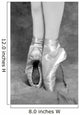 Tips Ballet Wall Mural