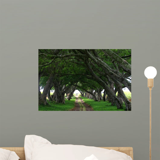 Mauritius Boulevard Tree Wall Mural