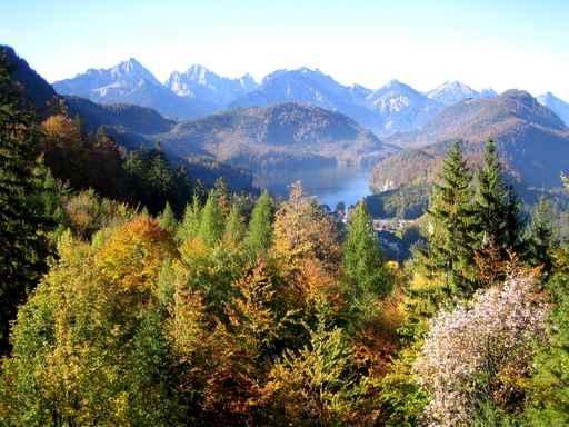 Beautiful Nature from Neuschwanstein Wall Decal