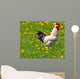 Rooster