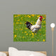 Rooster