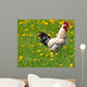 Rooster