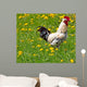 Rooster