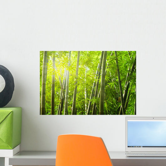 Bamboo Forest With Ray of Lights Wall Mural