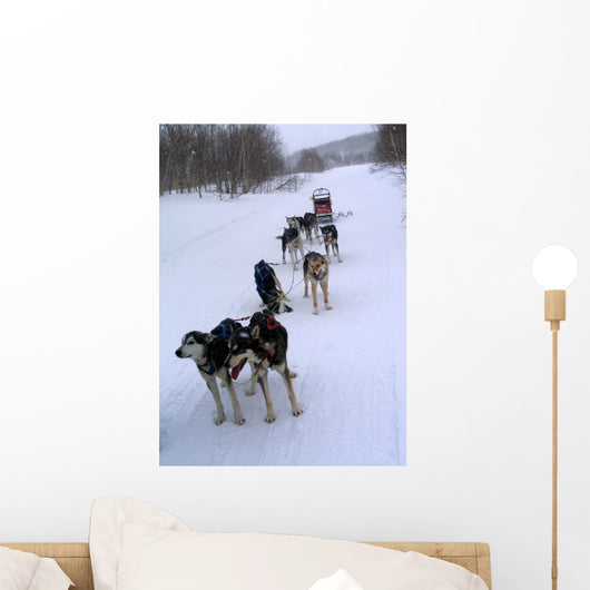 Running Wall Mural