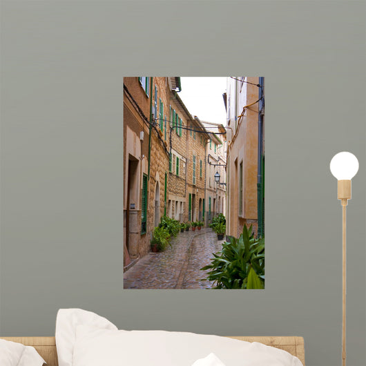 Old Style Mediterranean Houses