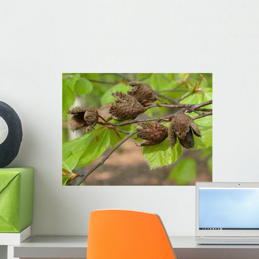 Forest Wall Decal Design 4