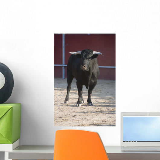 Fighting bull Wall Mural