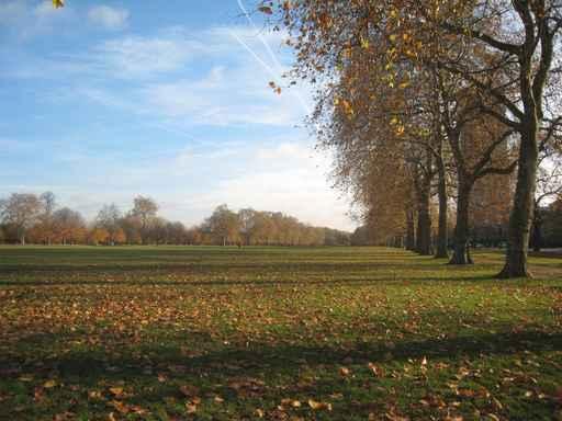 Hyde Park Wall Mural