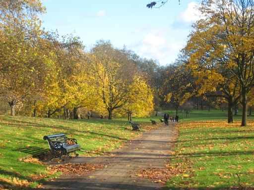 Green Park London Wall Decal