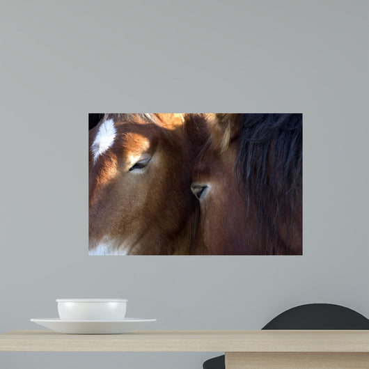 Chevaux