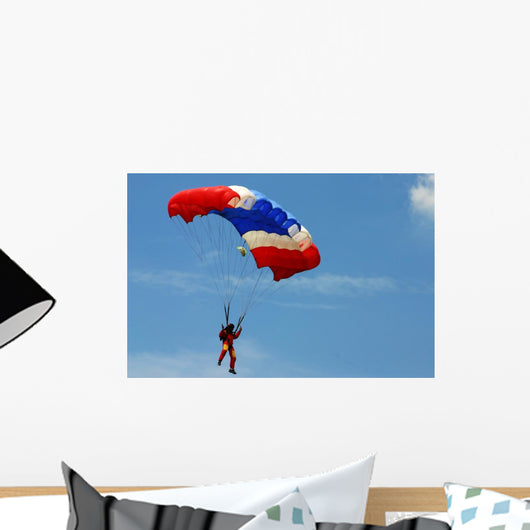 Skydiving Wall Mural