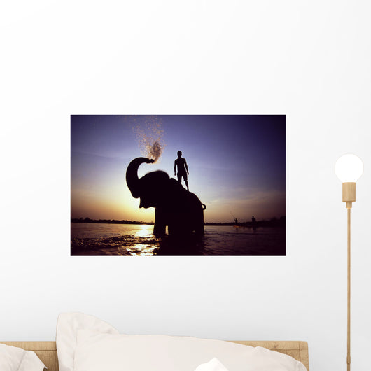 Bath of the Elephant Wall Mural