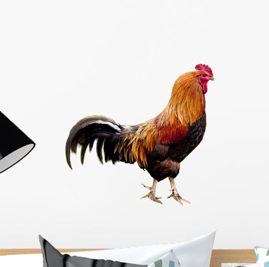 Rooster isolated Wall Decal
