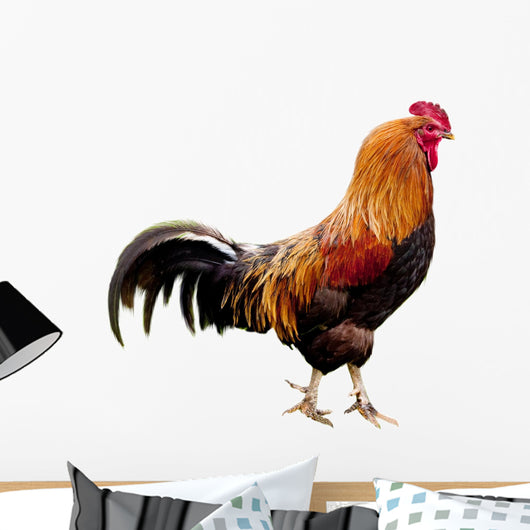 Rooster isolated Wall Decal