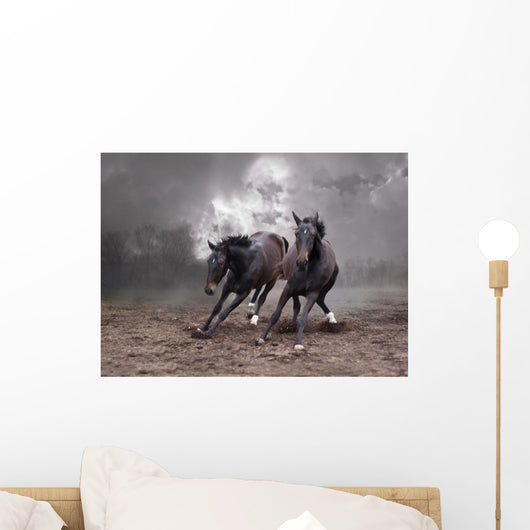 Horses of a twilight Wall Mural