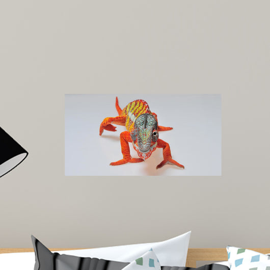 Chameleon Wall Mural