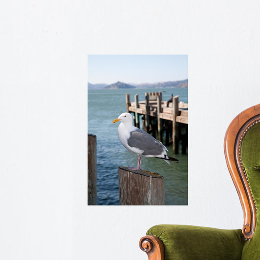 Seagull Standing Pole