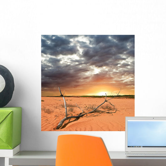 dried up branch in a desert before a sunset Wall Mural