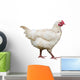 Hen Wall Decal Design 2