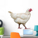Hen Wall Decal Design 2