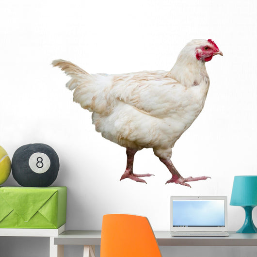 Hen Wall Decal Design 2