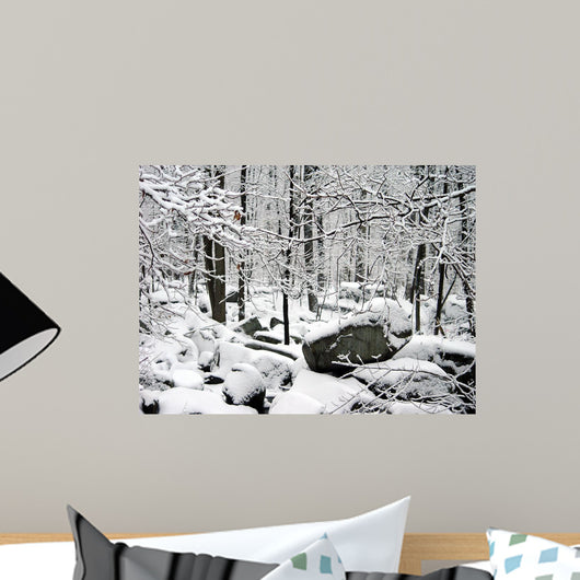 After the Winter Storm Wall Mural