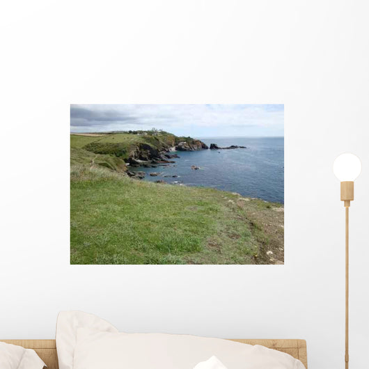 Lizard Point Wall Decal Design 2