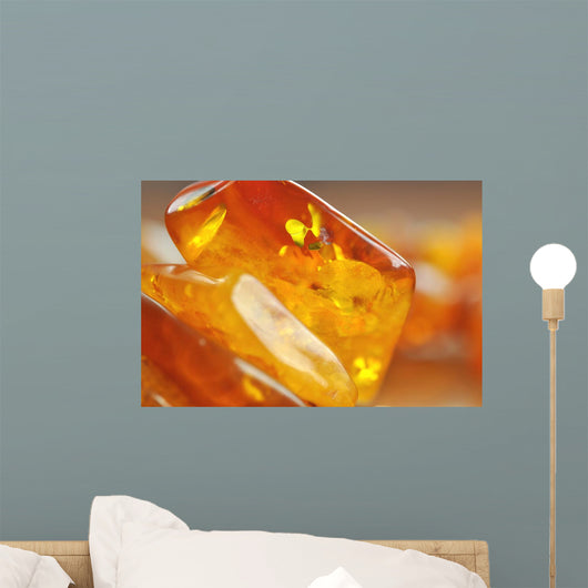 Amber Wall Mural