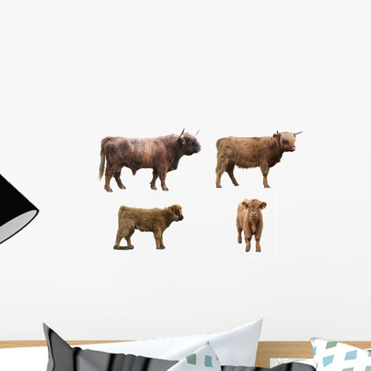 Scottish Highlander Cow Wall Decal Sticker Set