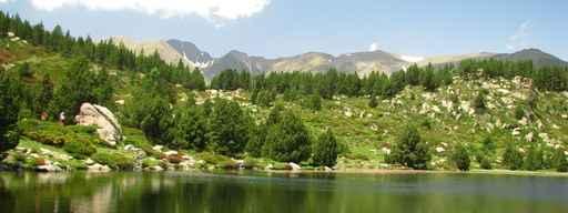 And High Pyrenees Pyrenees Wall Mural
