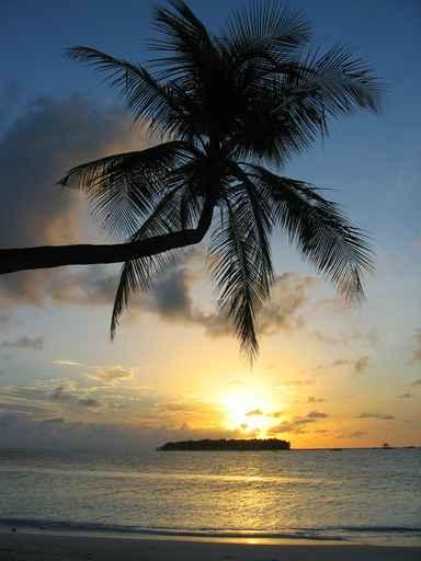 Sunrise Ihuru Wall Decal