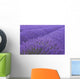 Lavander field in Provence Wall Mural